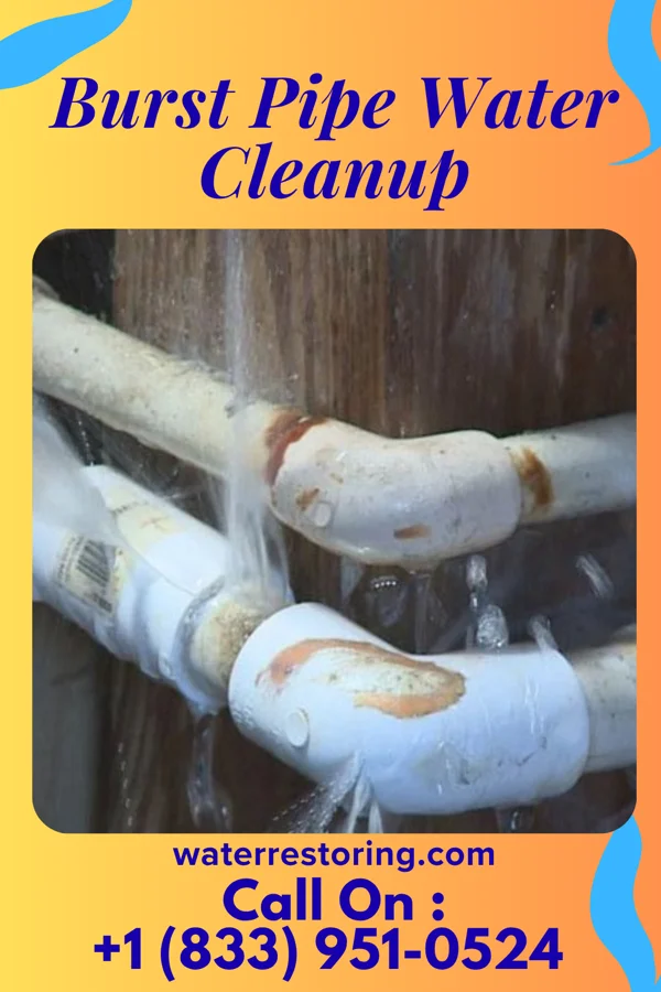 Burst Pipe Water Cleanup in Cedar Springs, MI