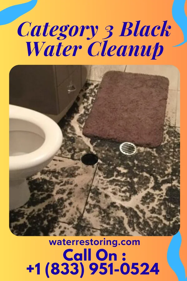 Category 3 Black Water Cleanup in Cedar Springs, MI