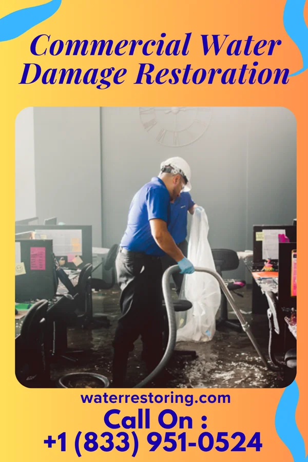 Commercial Water Damage Restoration in Cedar Springs, MI