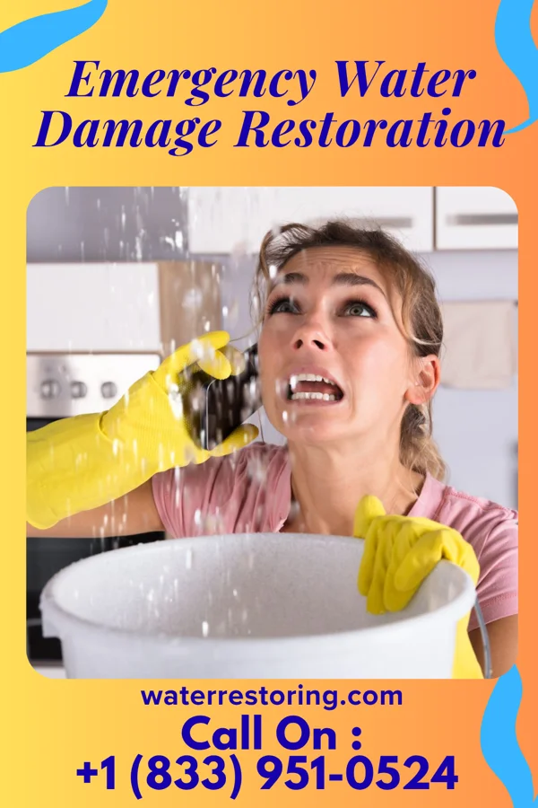 Emergency Water Damage Restoration in Cedar Springs, MI