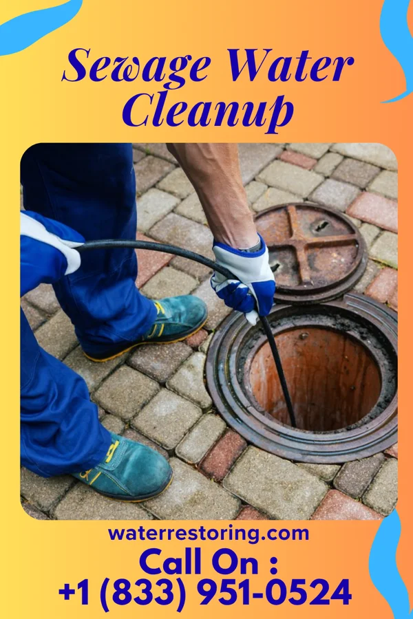 Sewage Water Cleanup in Cedar Springs, MI