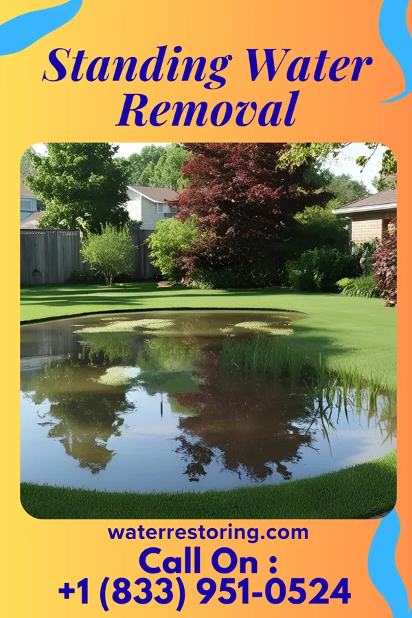 Standing Water Removal in Cedar Springs, MI